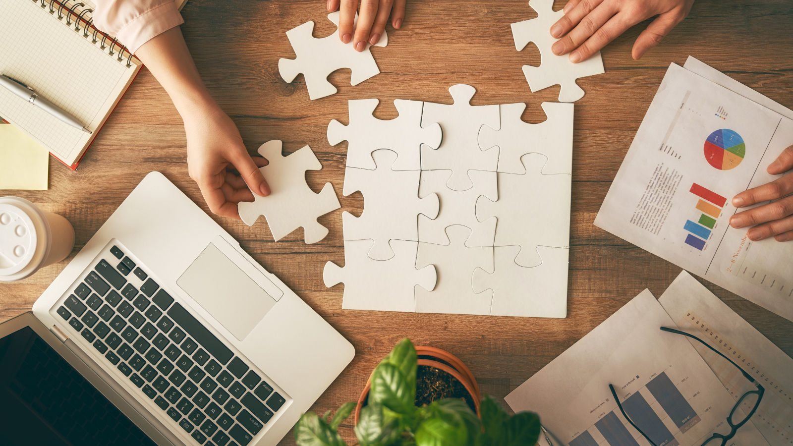 Tailored growth solutions for scaling businesses
